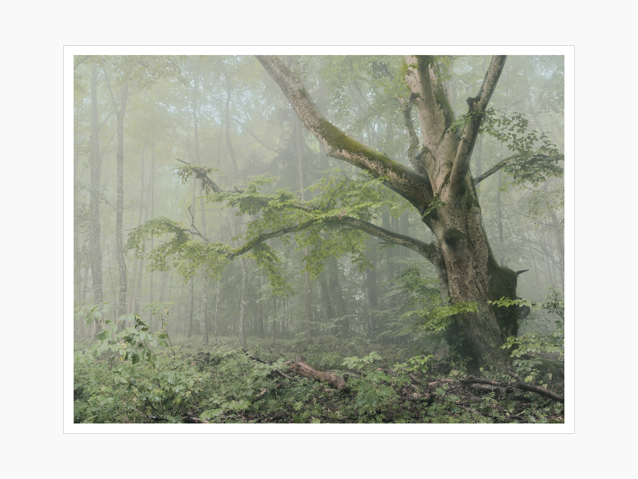 Max Schiefele Alle Bilder  DSF0641